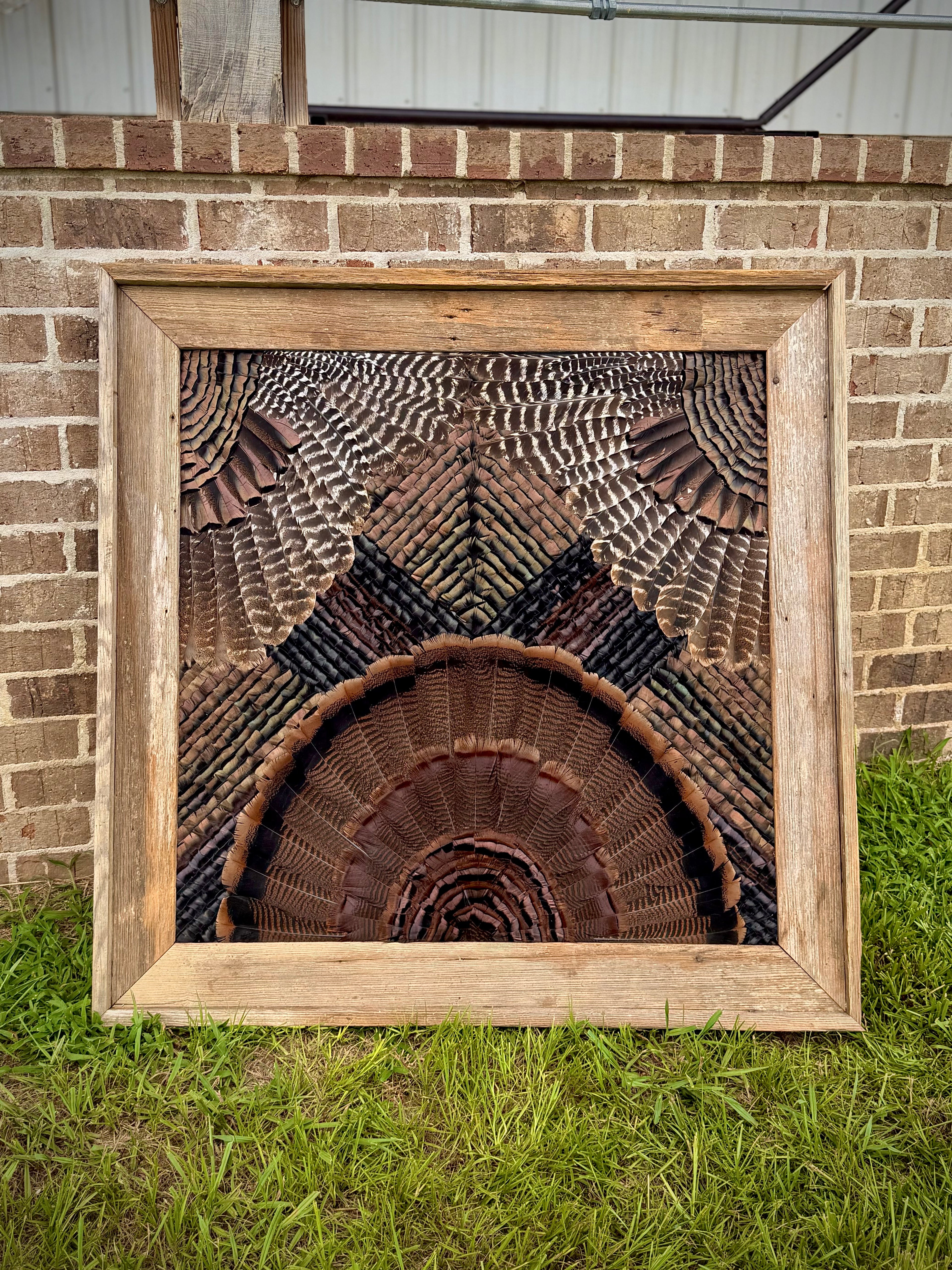 Turkey Feather Art Deposit
