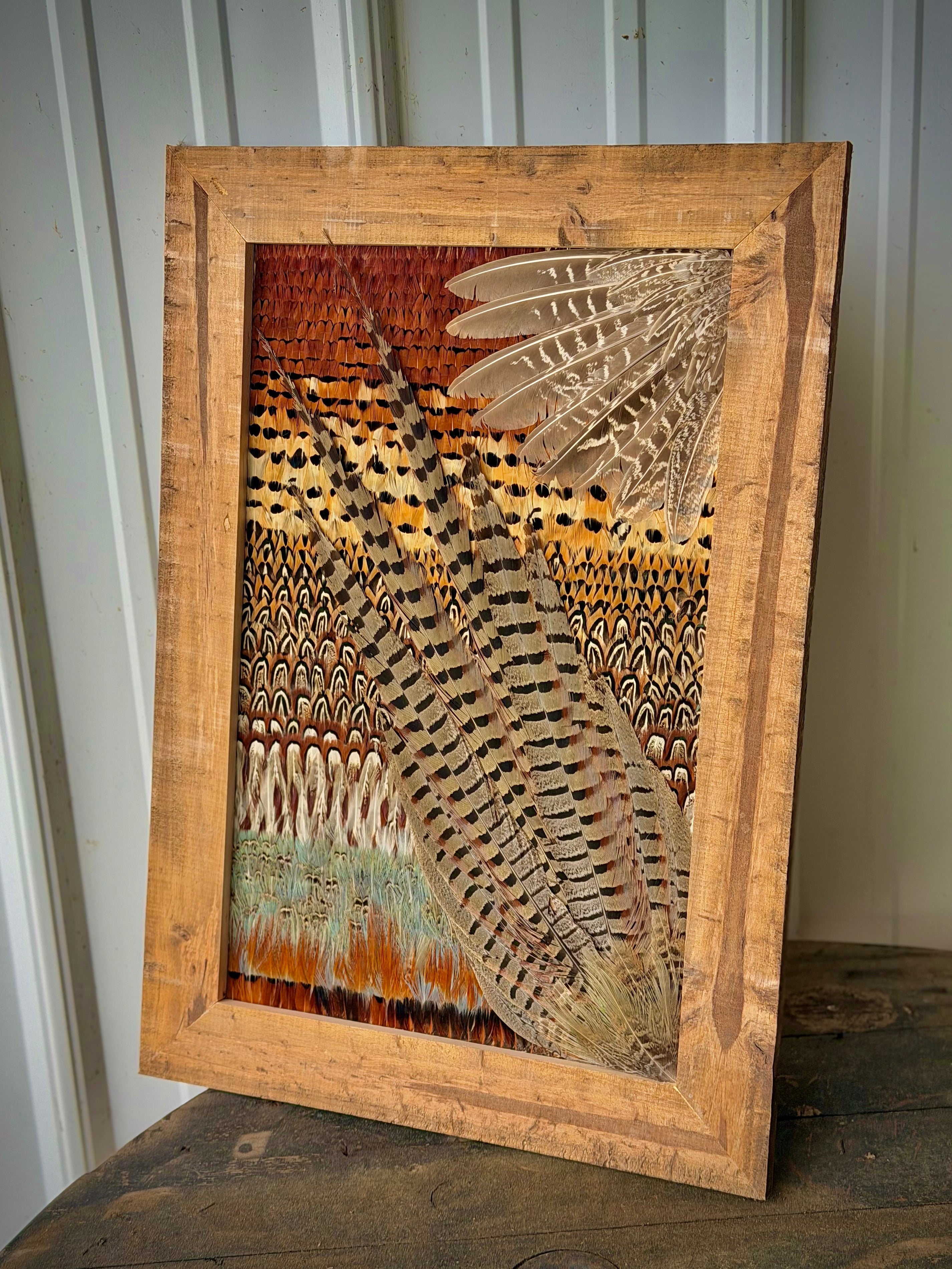 Pheasant Feather Art Deposit